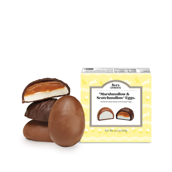 Chocolate-covered marshmallow treats with packaging.
